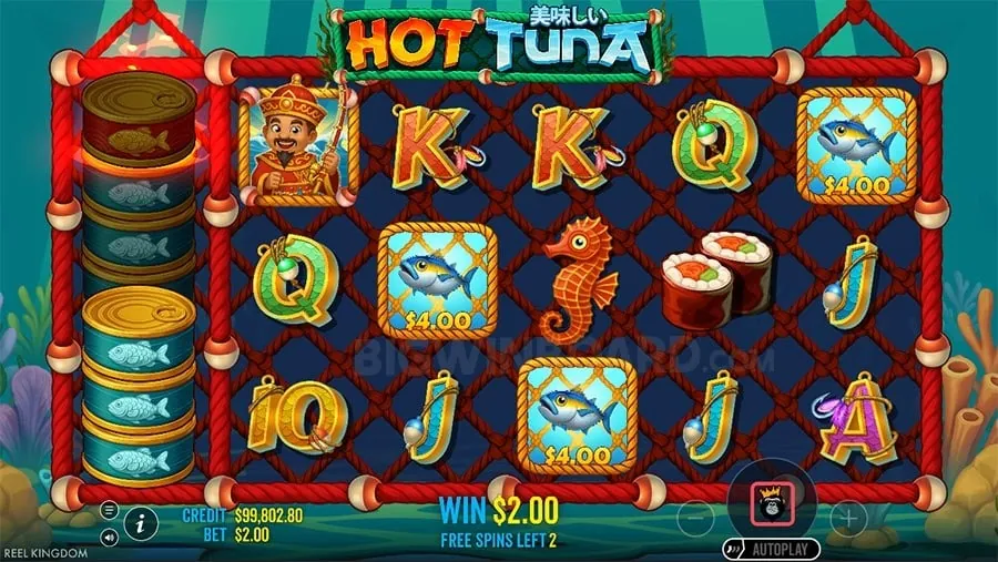 spintime Demystifying Casino Bonuses
